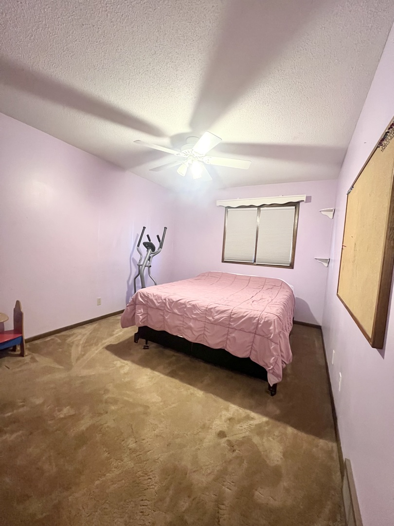 590 Hazelcrest Drive Rantoul, IL 61866 - Photo 19 of 27 Gallery Image 19