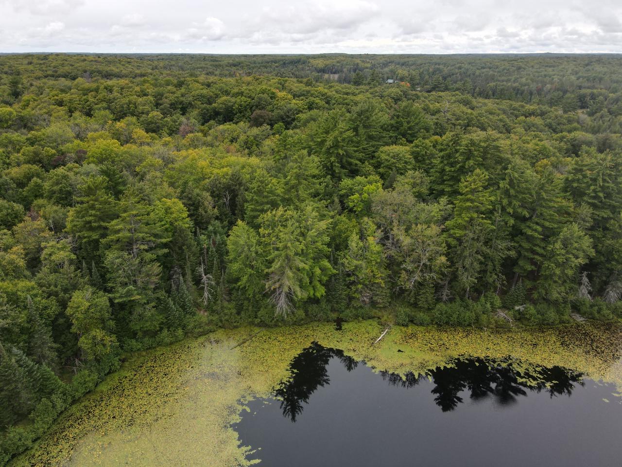Lot 23 Grace Lake Road Watersmeet, MI 49969 - Photo 2 of 25 Gallery Image 2