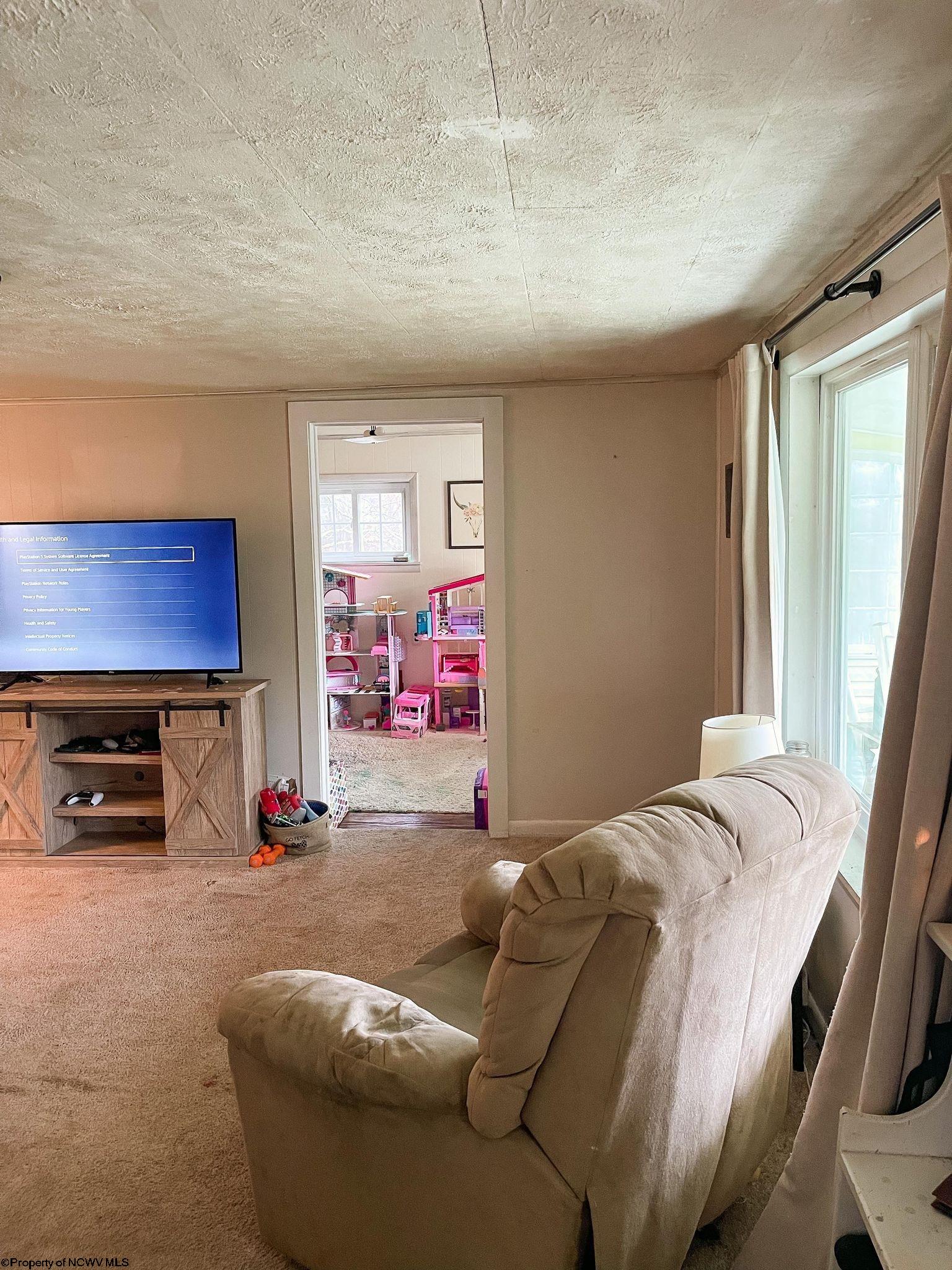 2515 Centerville Road Rock Cave, WV 26234 - Photo 17 of 29 Gallery Image 17