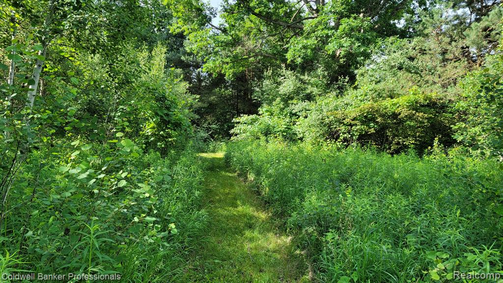 0 North Lapeer Road Columbiaville, MI 48421 - Photo 18 of 20