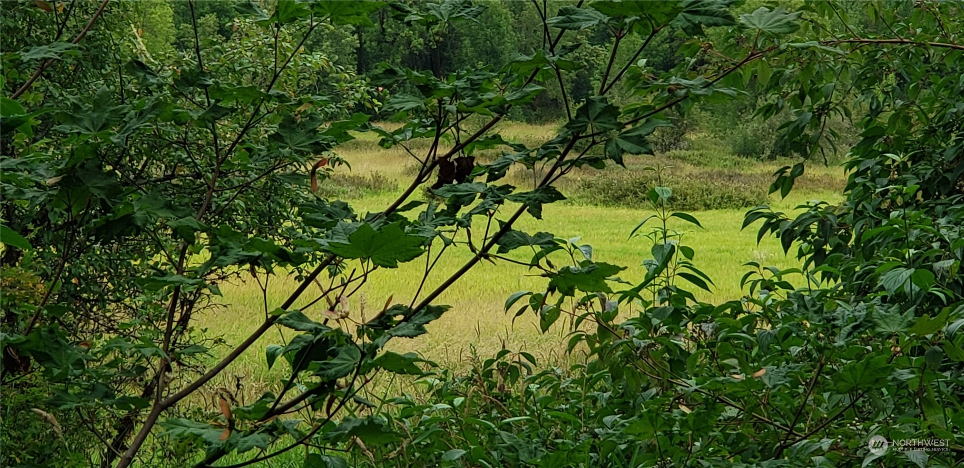 1 Jensen Road Onalaska, WA 98570 - Photo 29 of 35 Gallery Image 29