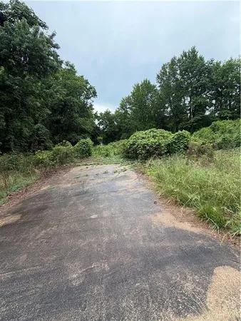 a view of a dirt road with trees in the background