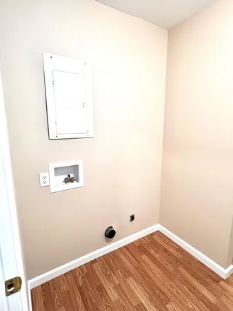 a view of a garden with a tree