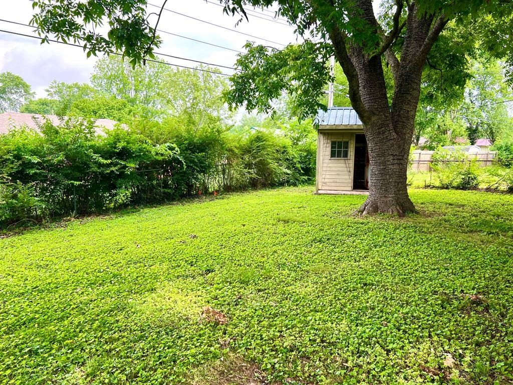 210 Roney Drive Hopkinsville, KY 42240 - Photo 28 of 29 a view of a garden with a tree