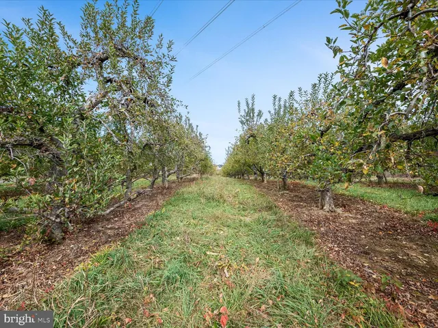 a view of lake with green space
