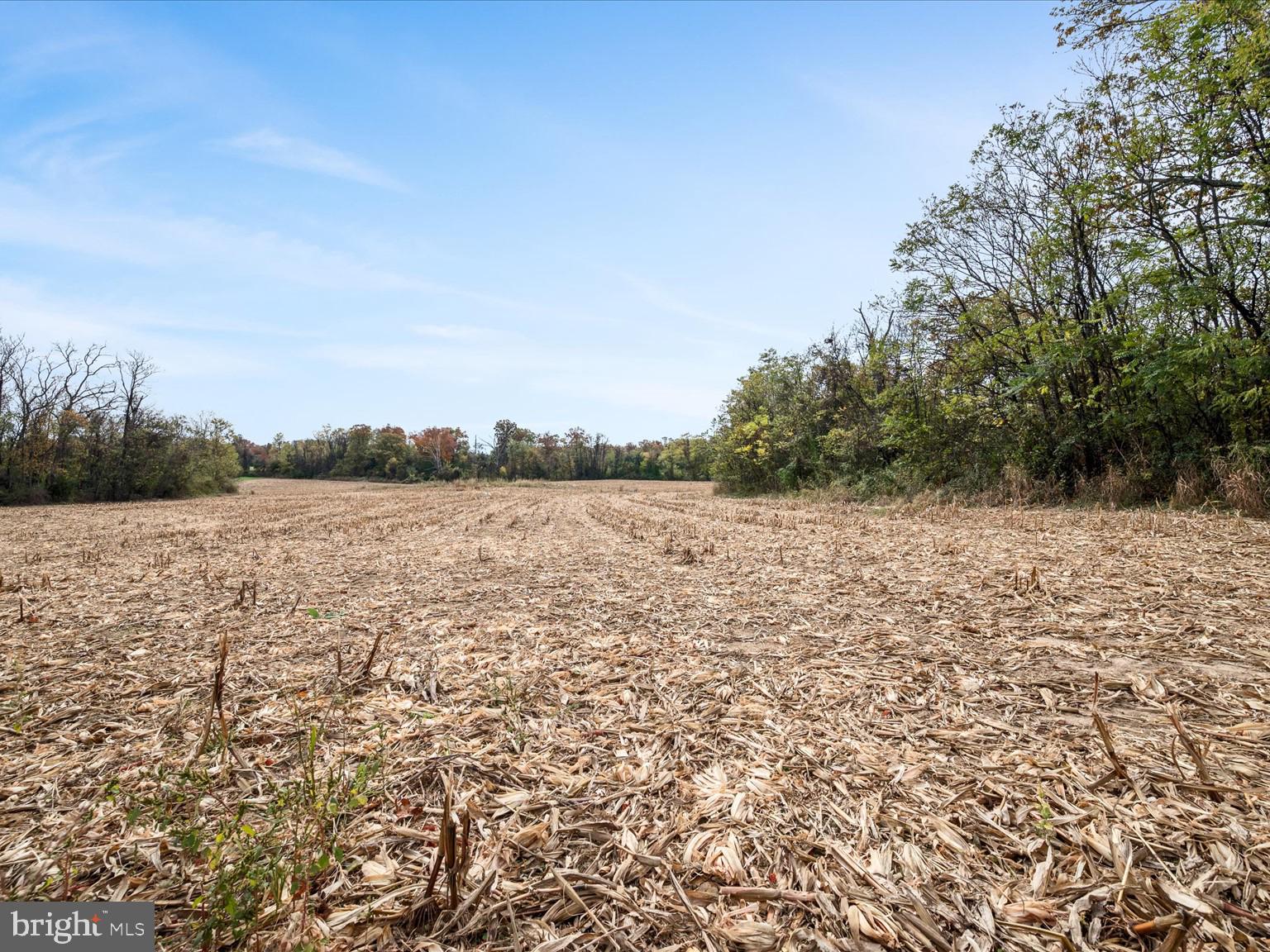 458 Hites Road Stephens City, VA 22655 - Photo 13 of 15 a view of lake with green space