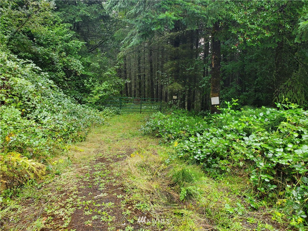 384 Hansen Road Kalama, WA 98625 - Photo 1 of 9 Gallery Image 1