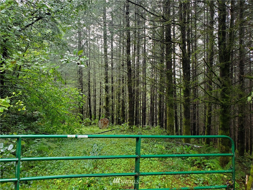 384 Hansen Road Kalama, WA 98625 - Photo 2 of 9 Gallery Image 2
