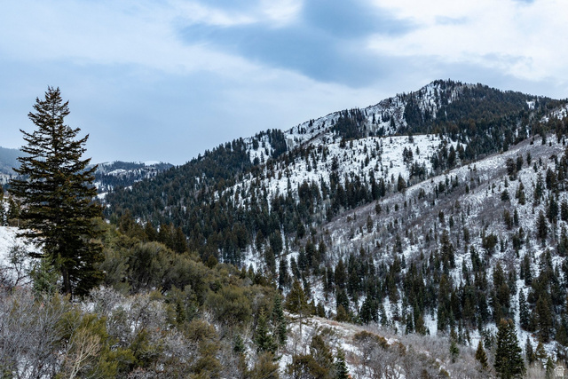 7331 Pine Ridge Drive Park City, UT 84098 - Photo 59 of 94
