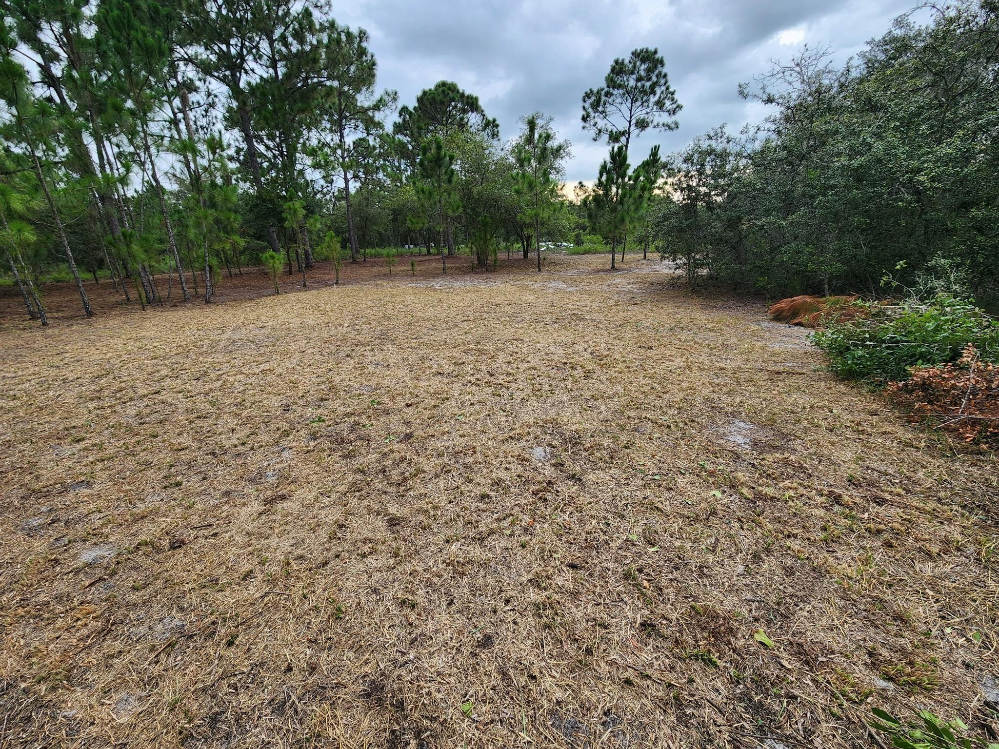 2925 West Bandra Road Avon Park, FL 33825 - Photo 2 of 3 Photo 2