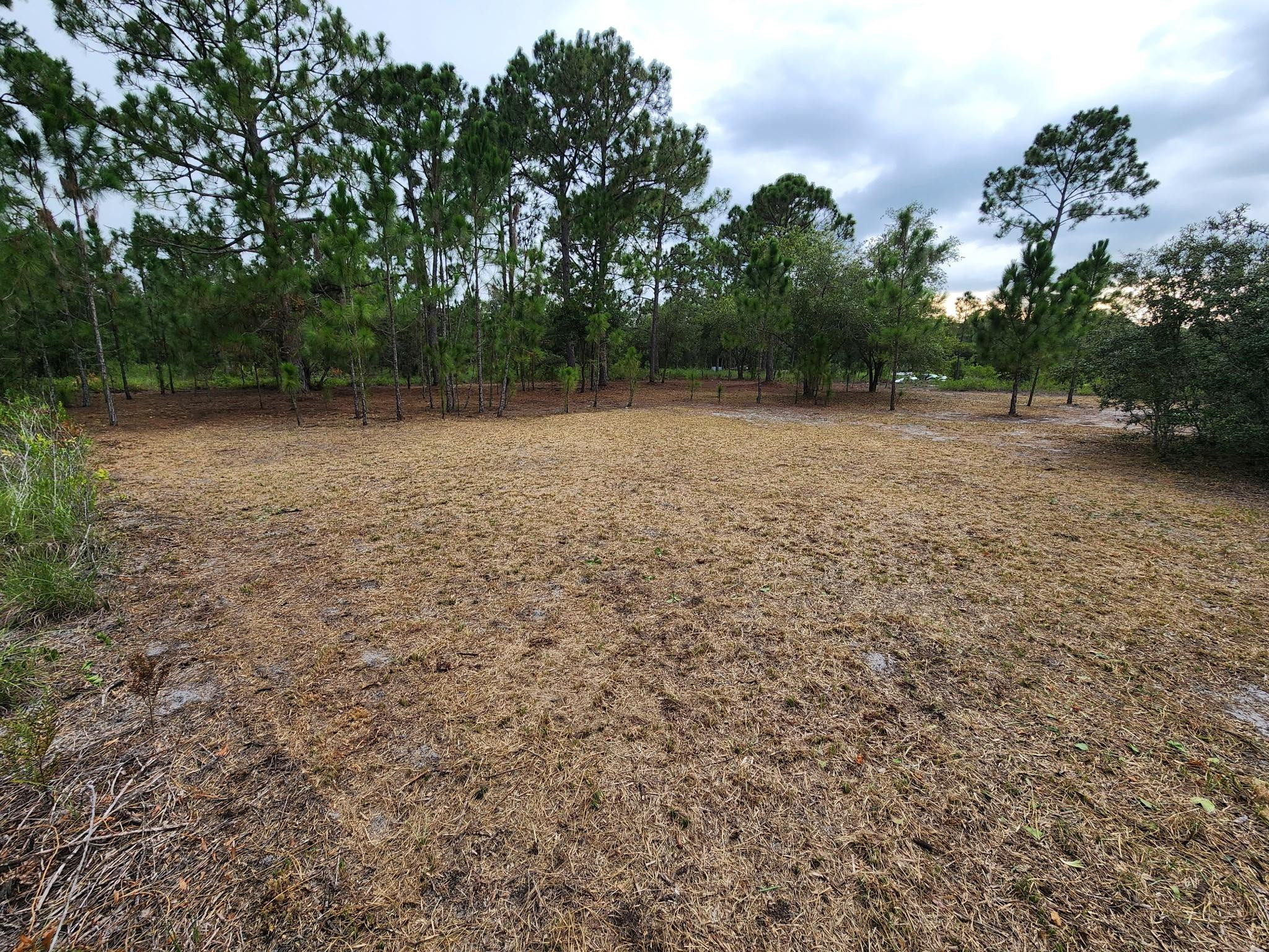 2925 West Bandra Road Avon Park, FL 33825 - Photo 3 of 3 Photo 3