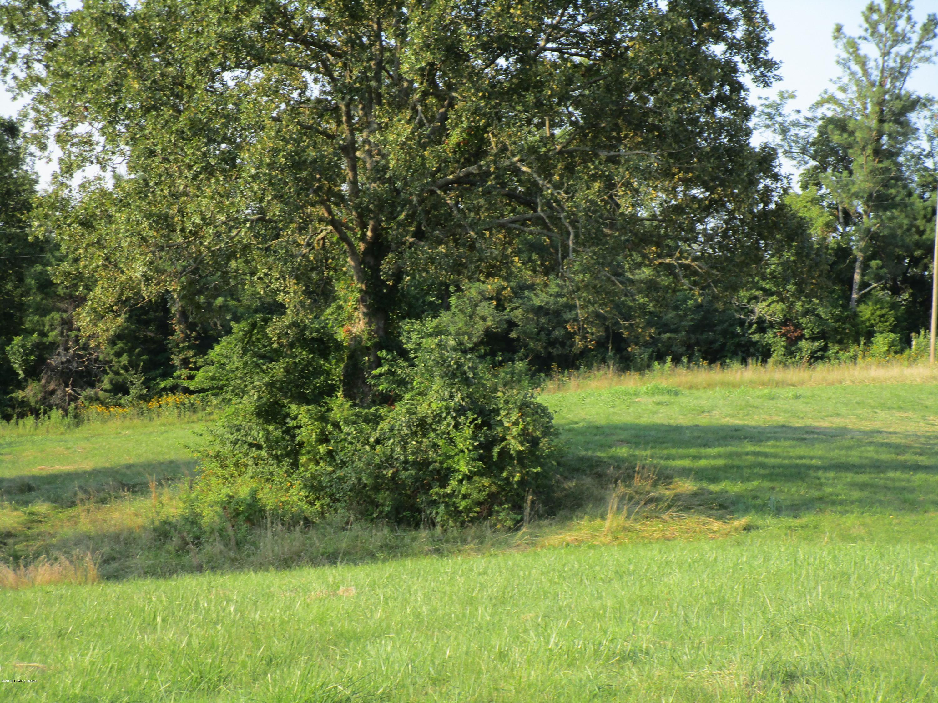 1171 Post-Hopewell Road Caneyville, KY 42721 - Photo 13 of 55 IMG_0145