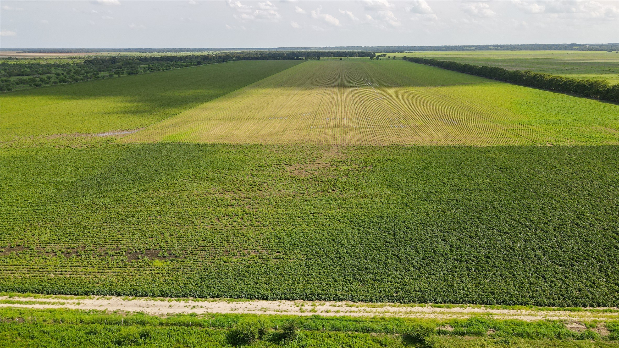 0 Felder Road Washington, TX 77880 - Photo 4 of 9