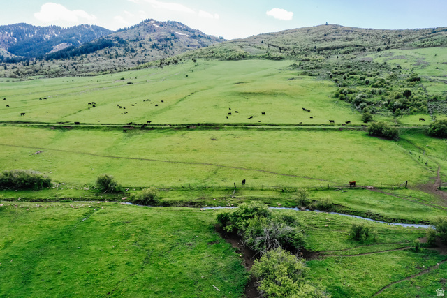 6700 North Capitol Hill Road Preston, ID 83263 - Photo 14 of 28 Expansive green pastures and rolling hills