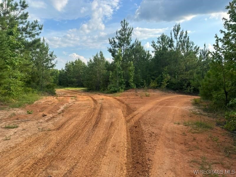0 County Road 70 Road Ariton, AL 36311 - Photo 23 of 23 Gallery Image 23