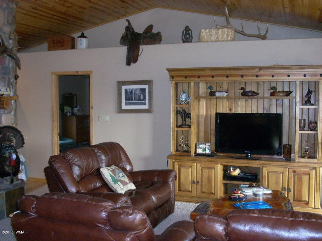 3240 Outlaw Trail Overgaard, AZ 85933 - Photo 19 of 40