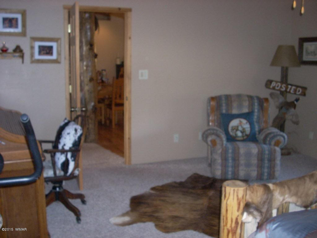 3240 Outlaw Trail Overgaard, AZ 85933 - Photo 21 of 40