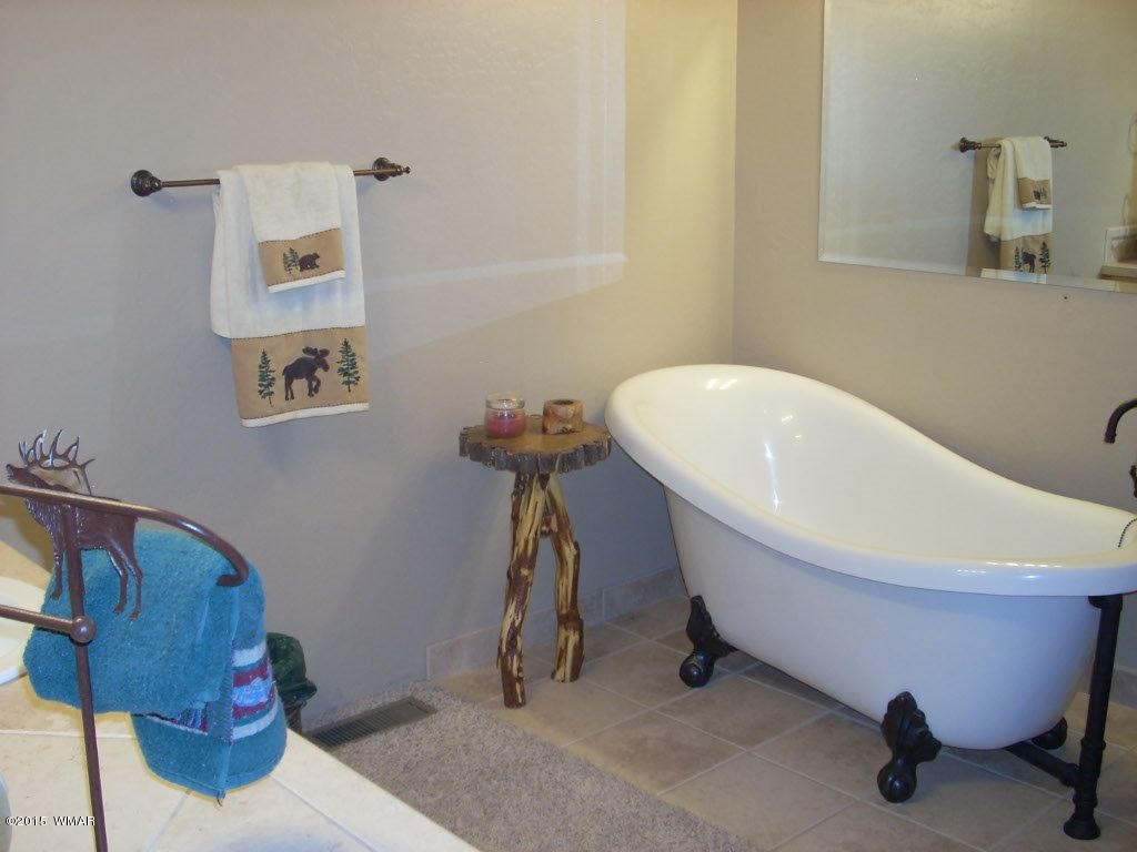 3240 Outlaw Trail Overgaard, AZ 85933 - Photo 22 of 40