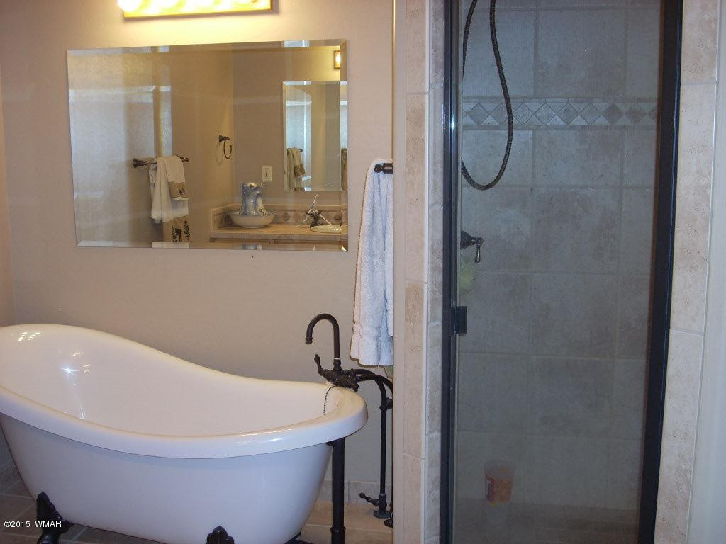 3240 Outlaw Trail Overgaard, AZ 85933 - Photo 23 of 40