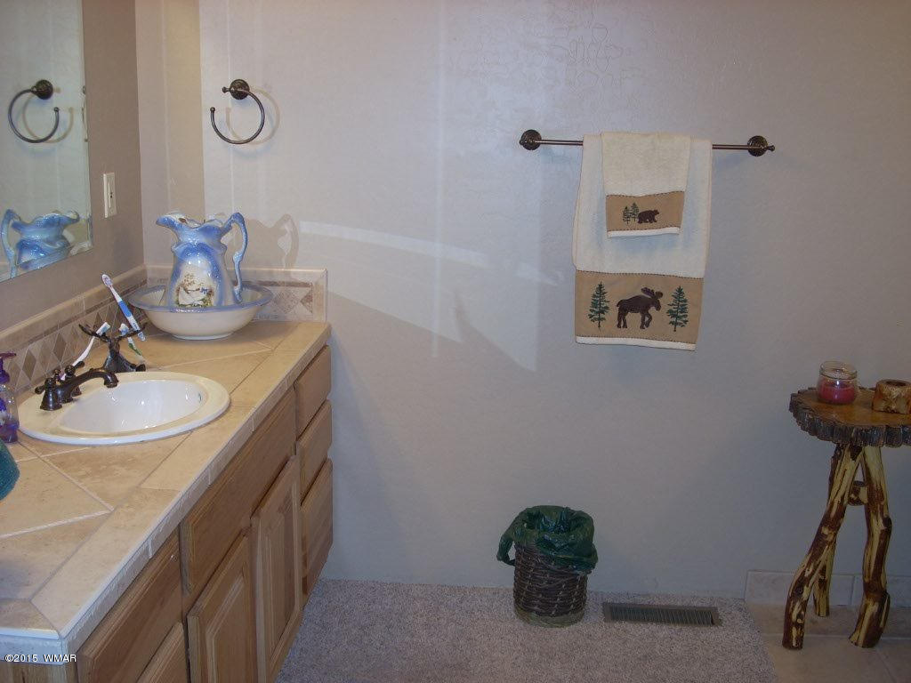 3240 Outlaw Trail Overgaard, AZ 85933 - Photo 24 of 40