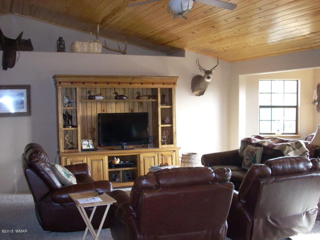 3240 Outlaw Trail Overgaard, AZ 85933 - Photo 33 of 40