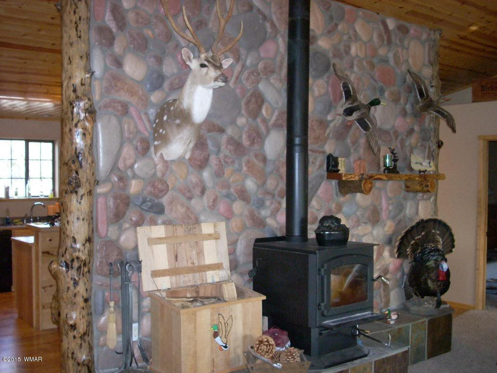 3240 Outlaw Trail Overgaard, AZ 85933 - Photo 34 of 40
