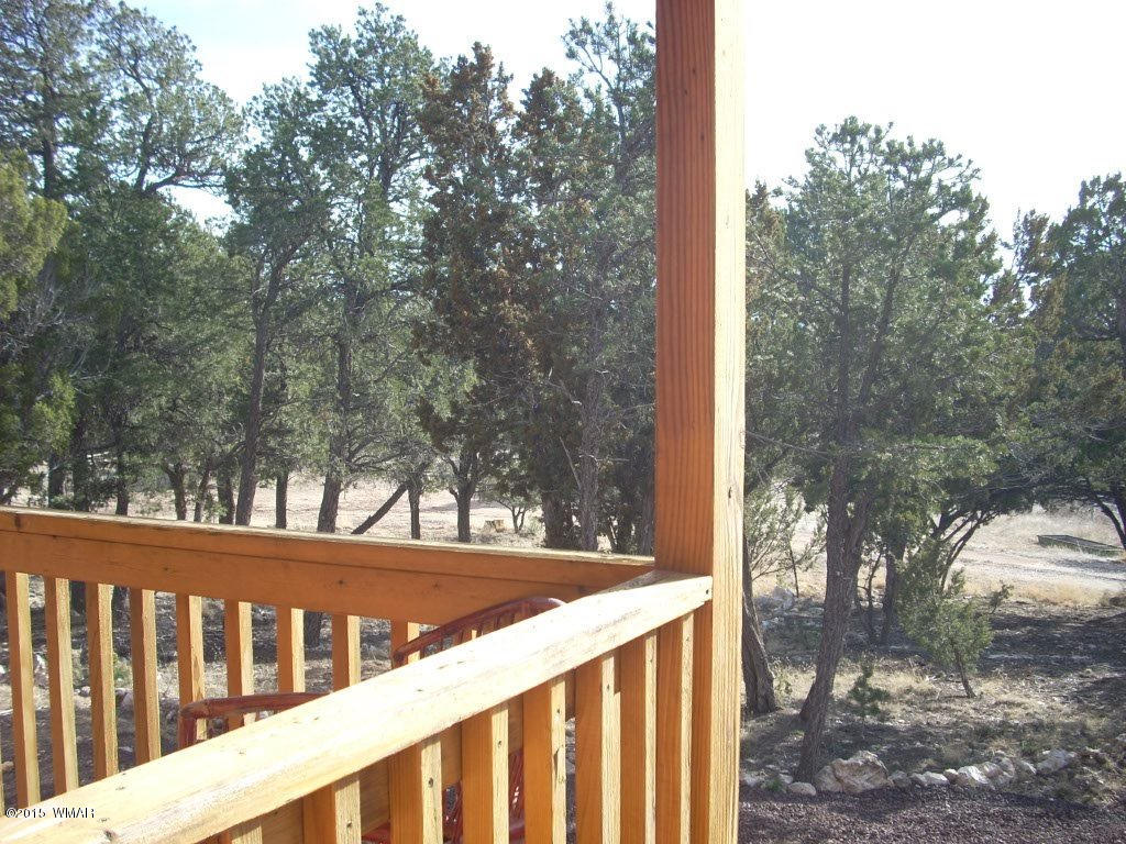 3240 Outlaw Trail Overgaard, AZ 85933 - Photo 5 of 40