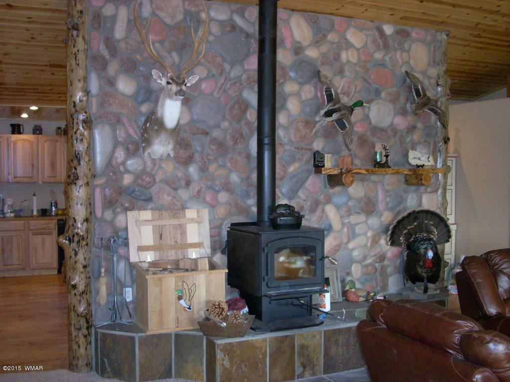 3240 Outlaw Trail Overgaard, AZ 85933 - Photo 7 of 40