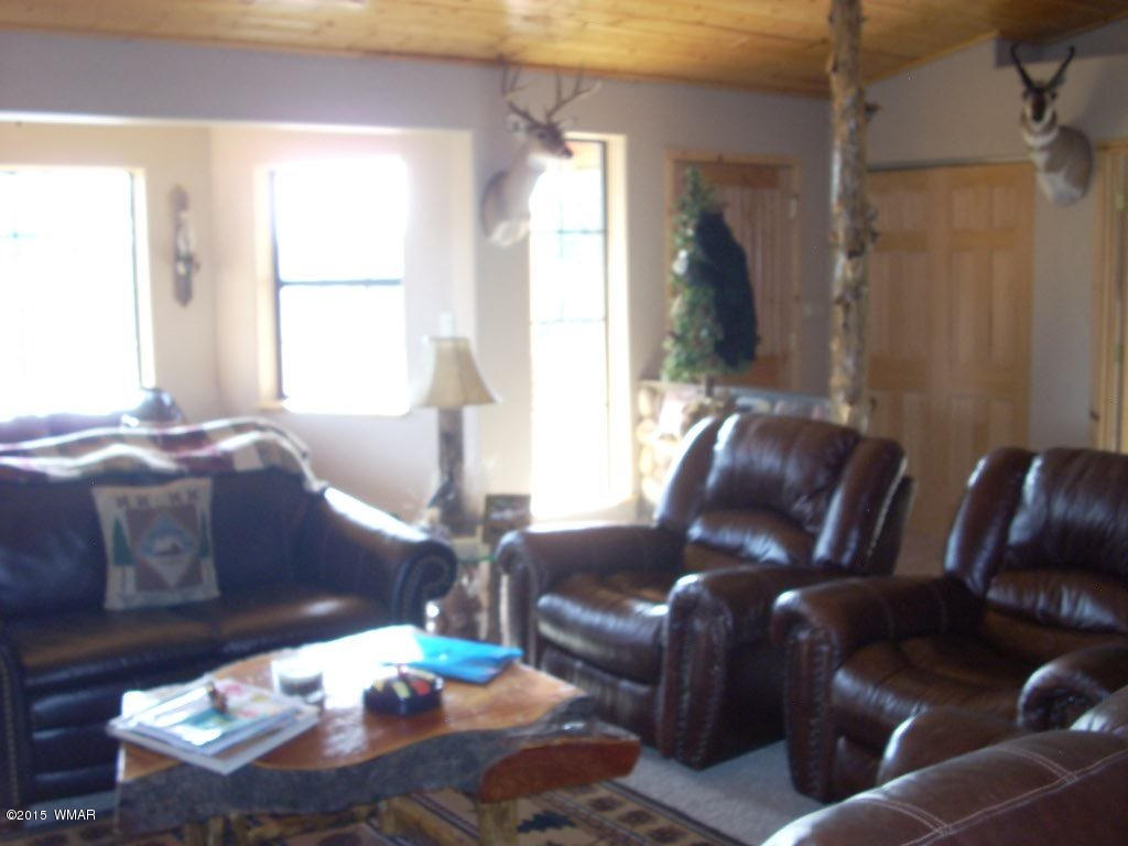3240 Outlaw Trail Overgaard, AZ 85933 - Photo 8 of 40