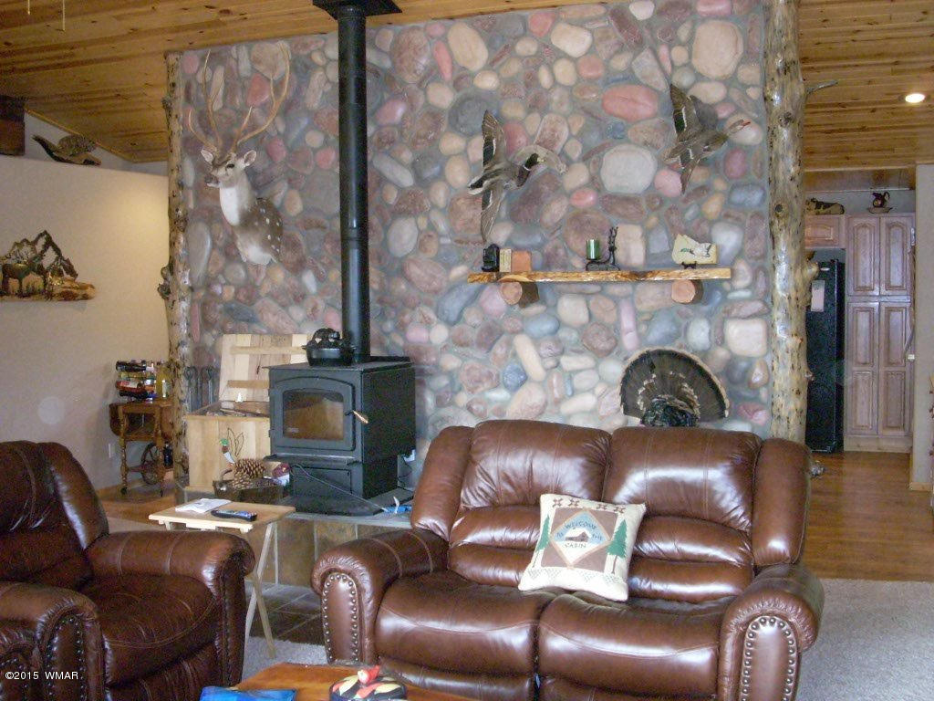 3240 Outlaw Trail Overgaard, AZ 85933 - Photo 10 of 40