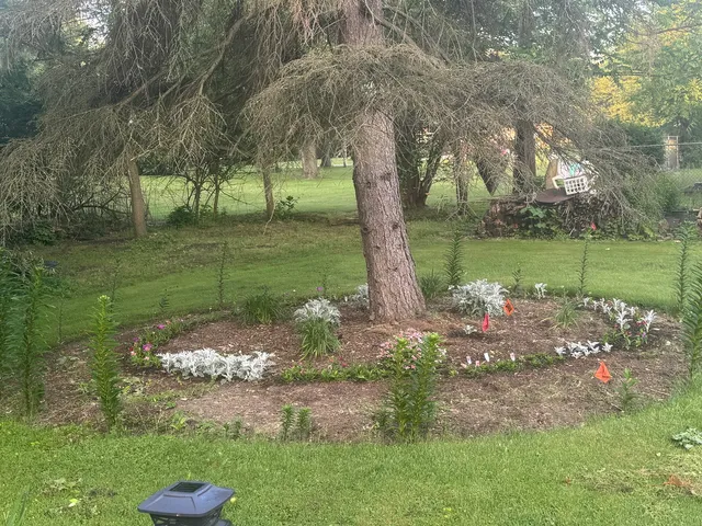 a garden with trees in the background