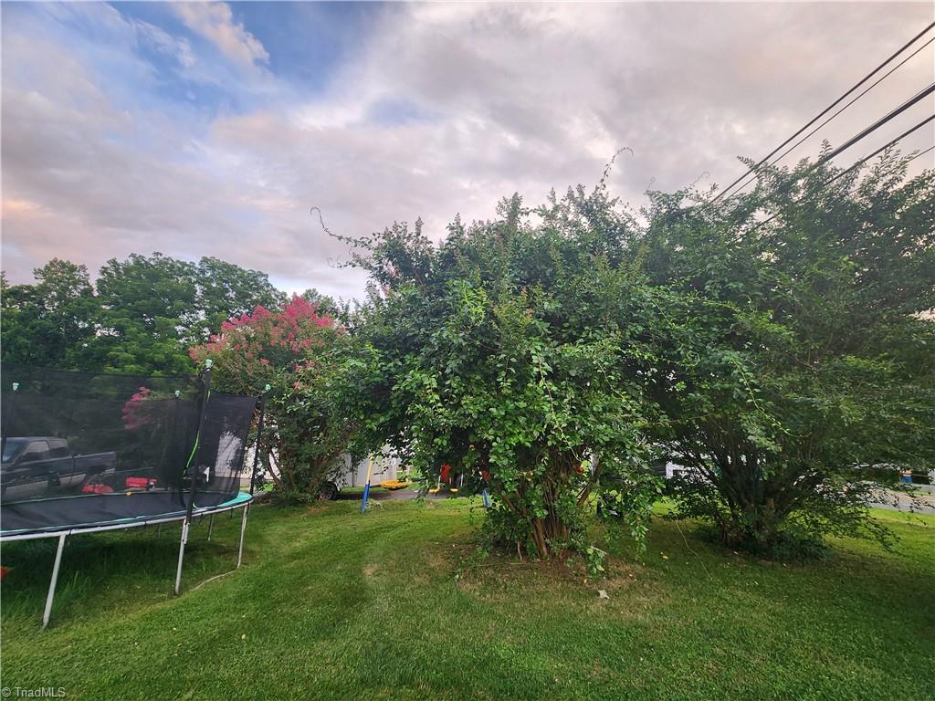 1598 Fancy Gap Road Mount Airy, NC 27030 - Photo 4 of 26 Gallery Image 4