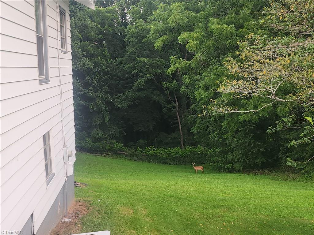 1598 Fancy Gap Road Mount Airy, NC 27030 - Photo 5 of 26 Gallery Image 5