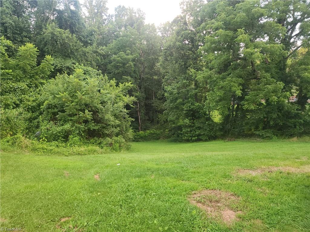 1598 Fancy Gap Road Mount Airy, NC 27030 - Photo 6 of 26 Gallery Image 6