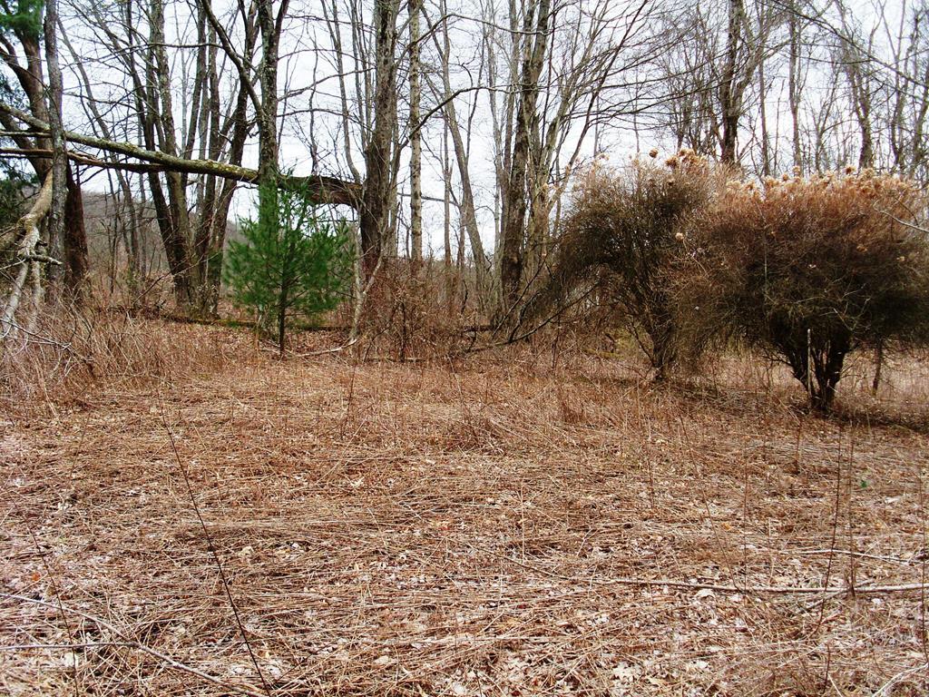 0 State Route, Unit 62 Tionesta, PA 16353 - Photo 2 of 4