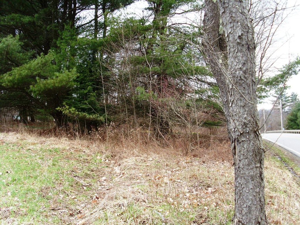 0 State Route, Unit 62 Tionesta, PA 16353 - Photo 4 of 4