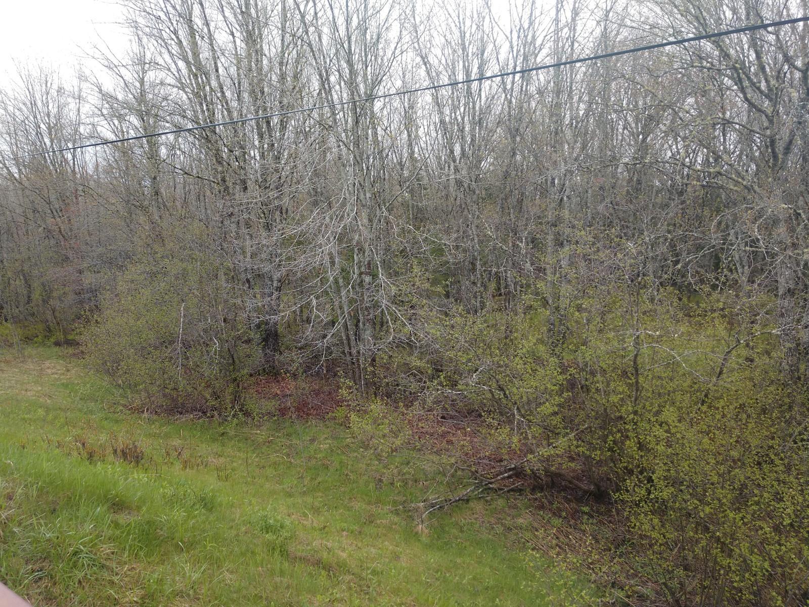 2-1 Rt 171 Wytopitlock, ME 04497 - Photo 3 of 6 IMG_20190524_105819685