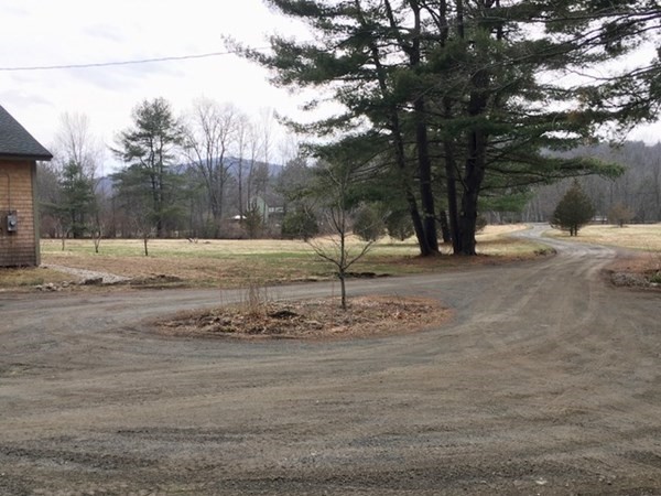 253 Long Plain Road Leverett, MA 01054 - Photo 42 of 42 a view of a yard with a tree