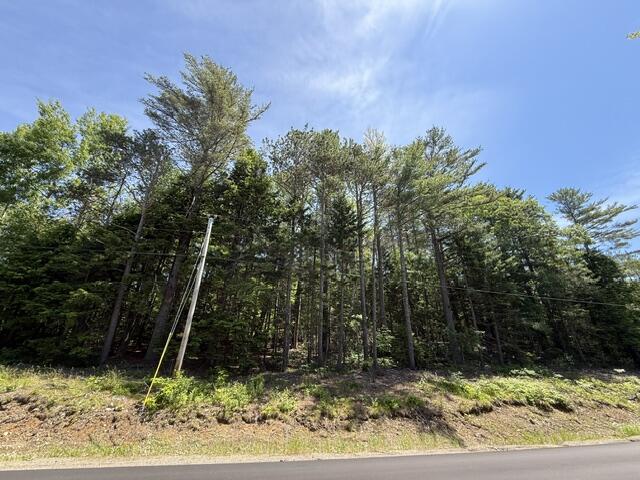 Lot 5-10 Charlotte Road Charlotte, ME 04666 - Photo 7 of 24 IMG_1700 (1)