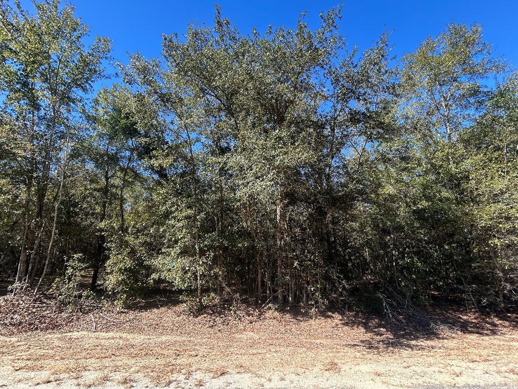 20-ac Coot Adams Road Ashford, AL 36312 - Photo 13 of 28