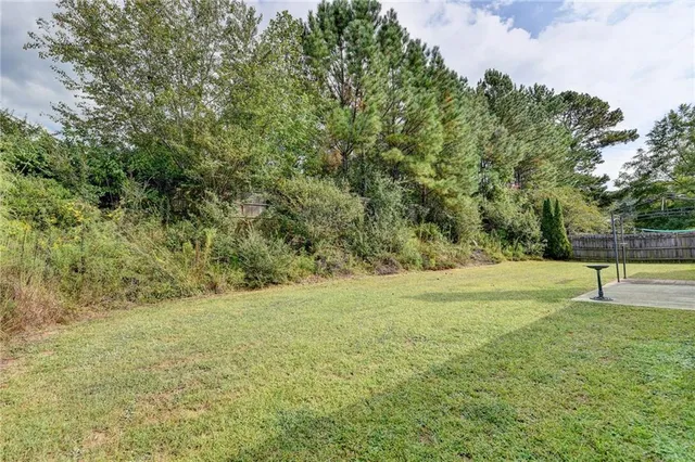 a view of outdoor space with trees all around