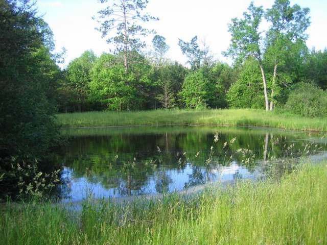 W9917 Davis Road Wausaukee, WI 54177 - Photo 15 of 20 Gallery Image 15