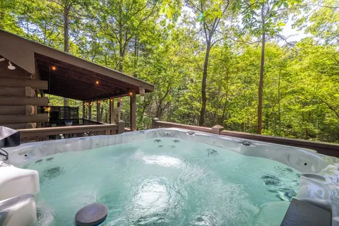 a view of a backyard