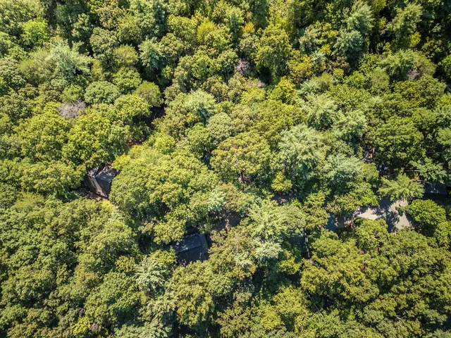 view of a field of grass and trees