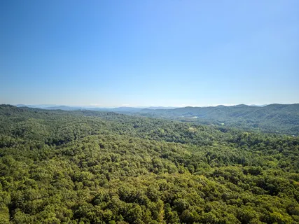 a view of a green field