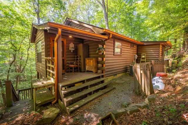 a view of a house with a small yard and a large tree