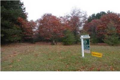 Peck Lake Road Saranac, MI 48881 - Photo 1 of 1 Primary Photo