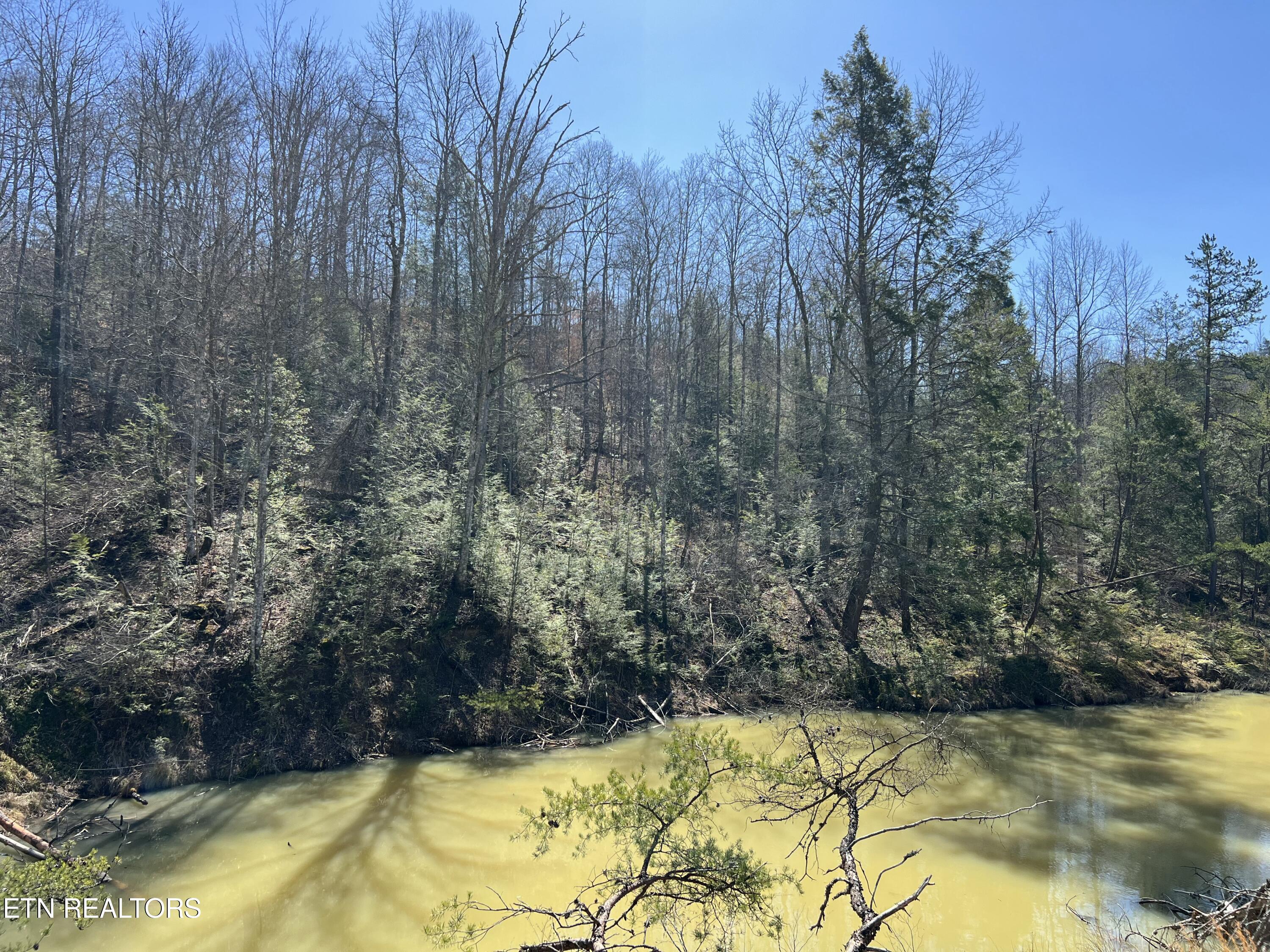 Lot 3 Big Four Road La Follette, TN 37766 - Photo 18 of 22 tempImageFZjuf0