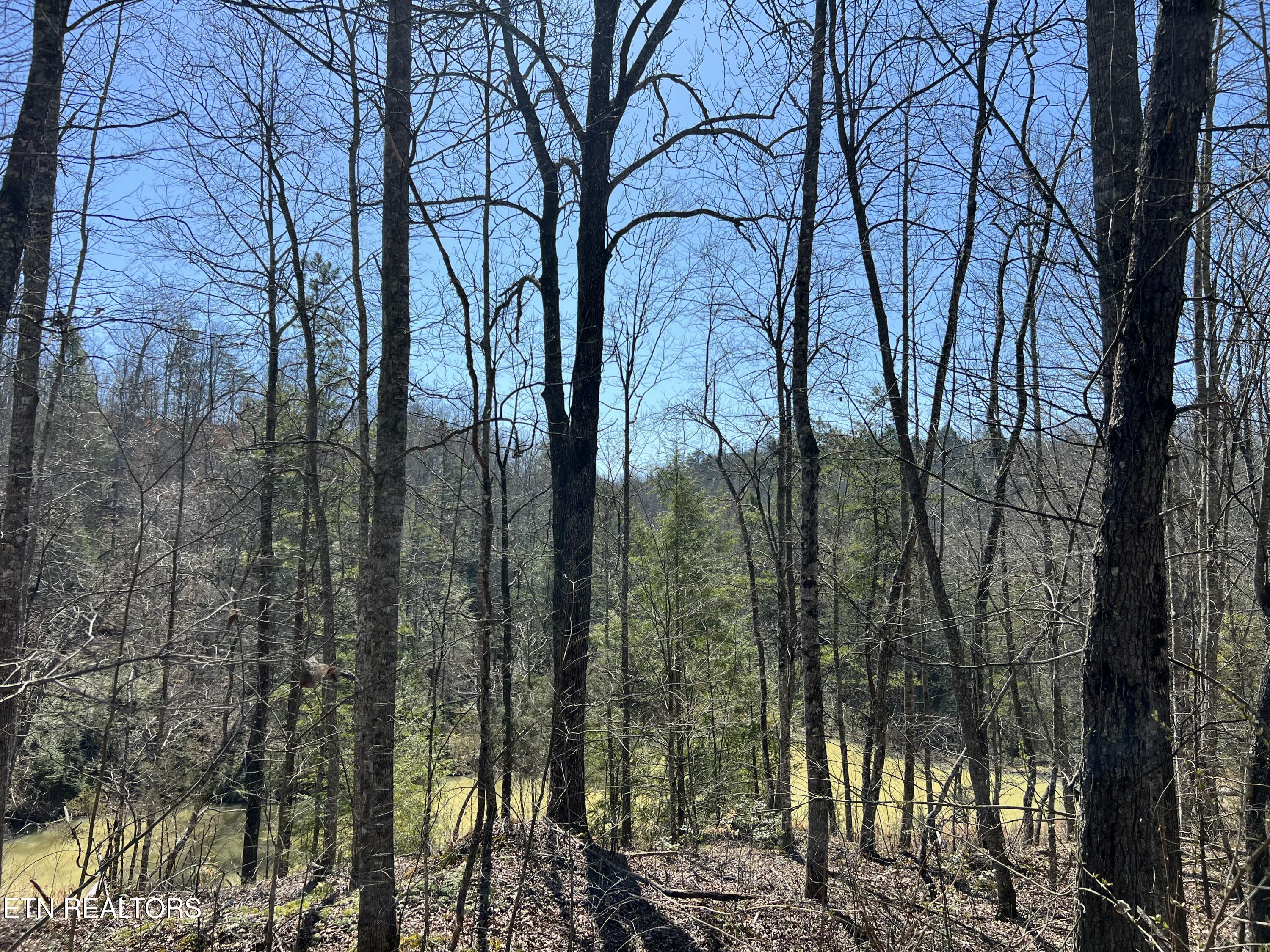 Lot 3 Big Four Road La Follette, TN 37766 - Photo 8 of 22 tempImageY8ZAs9