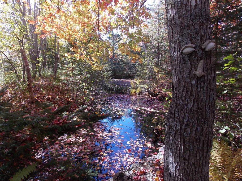 515 Falls Bridge Road Blue Hill, ME 04614 - Photo 15 of 15 Photo